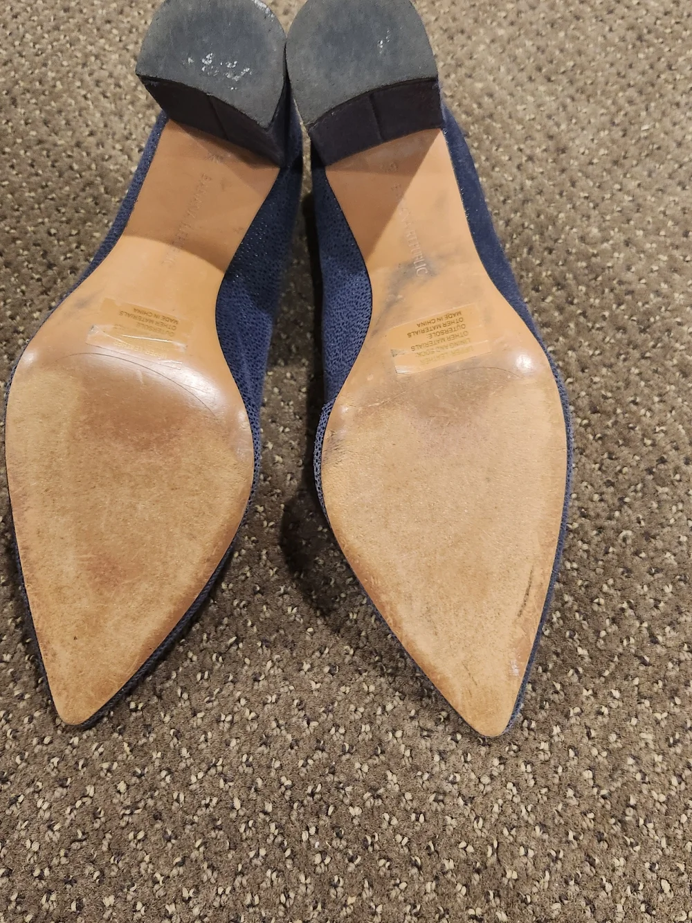 Banana Republic Navy Pointed Block Heel Pumps